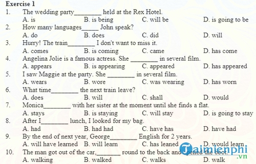 cac dang bai tap chia dong tu