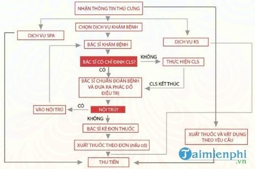 phan mem quan ly phong kham thu y tmt