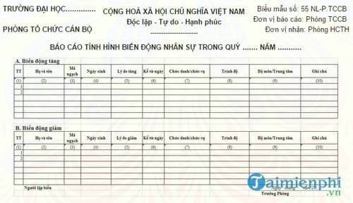 bao cao tinh hinh bien dong nhan su