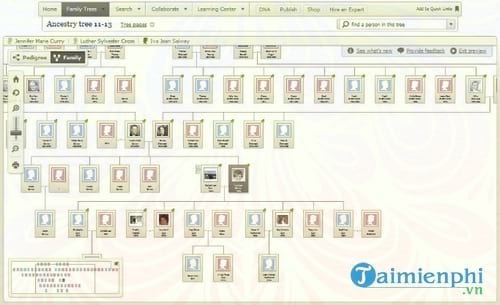 phan mem quan ly gia pha ancestry