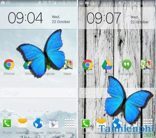 buom bay tren dien thoai