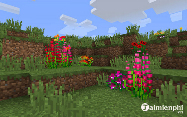 ferdinand s flowers mod