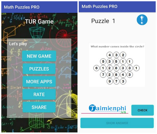 math puzzles pro