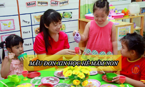mau don xin hoc he mam non
