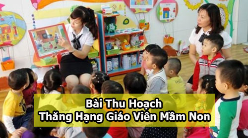 bai thu hoach thang hang giao vien mam non