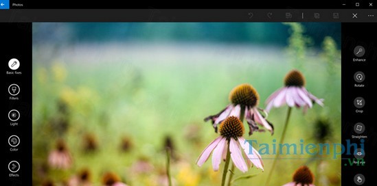 download microsoft photos