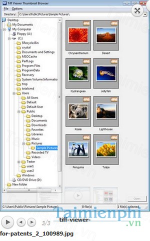 download tiff viewer for patents