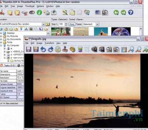 download thumbsplus pro