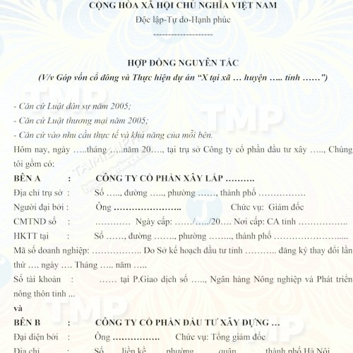 Mẫu hợp đồng nguyên tắc góp vốn cổ đông thực hiện dự án