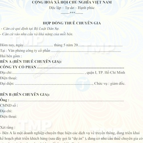 Hợp đồng thuê chuyên gia cao cấp