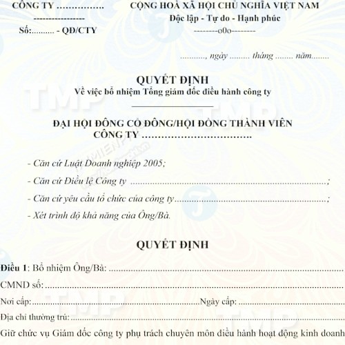 Mẫu quyết định bổ nhiệm tổng giám đốc công ty