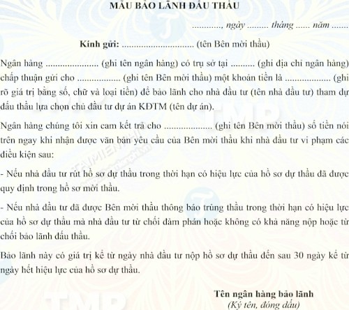 Mẫu bảo lãnh đấu thầu