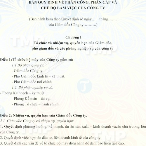 Bản quy định về phân công, phân cấp và chế độ làm việc của công ty