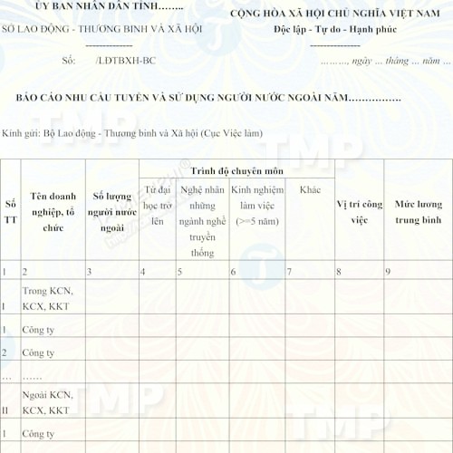 Mẫu báo cáo nhu cầu tuyển và sử dụng người nước ngoài