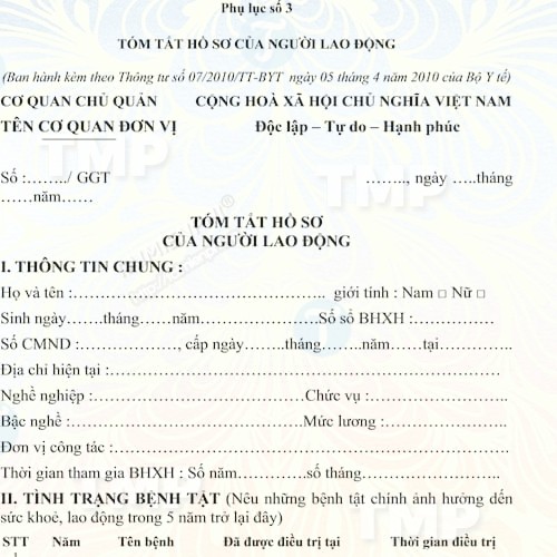 Mẫu tóm tắt hồ sơ tình trạng bệnh tật của người lao động