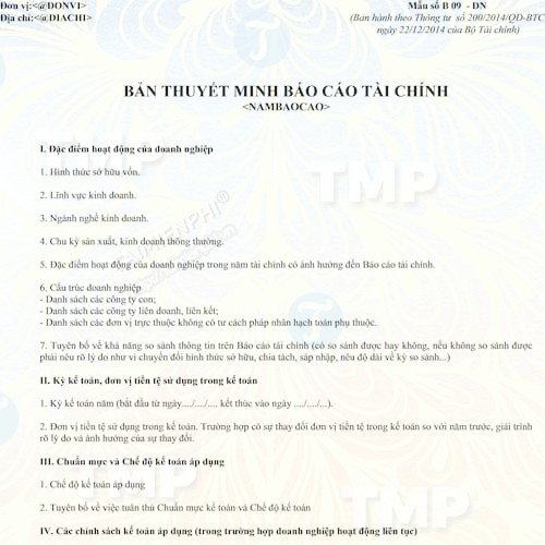Mẫu thuyết minh báo báo tài chính
