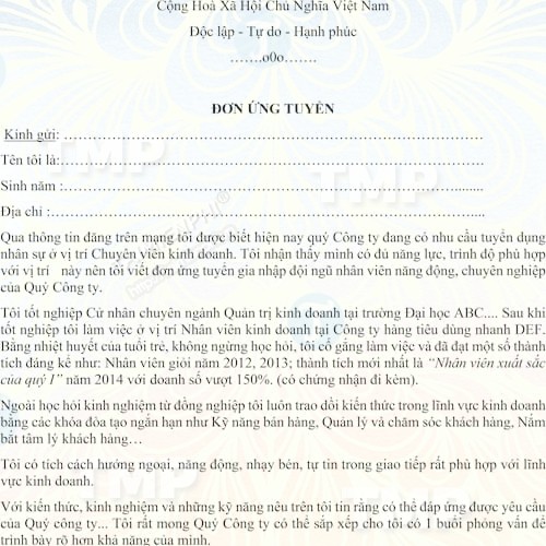 CV xin việc vị trí nhân viên kinh doanh