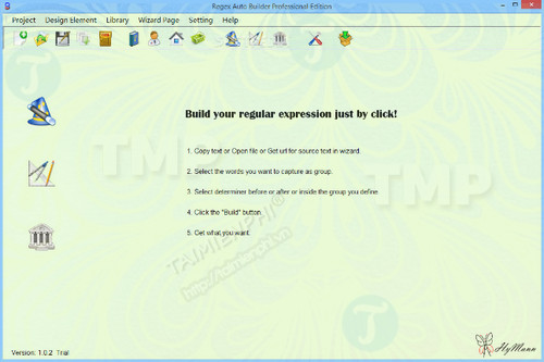 Regex Auto Builder Professional Edition