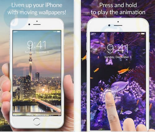 Live Wallpapers for Me cho iPhone