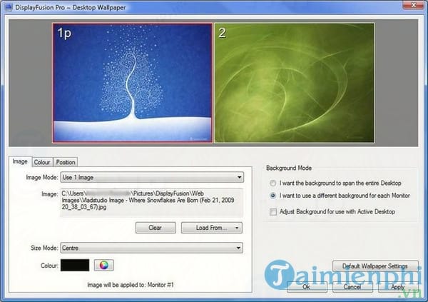 Portable DisplayFusion Pro