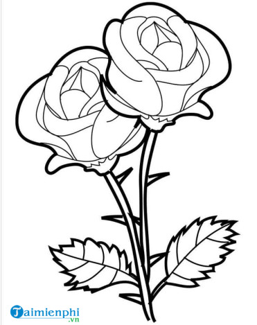 tranh to mau bong hoa