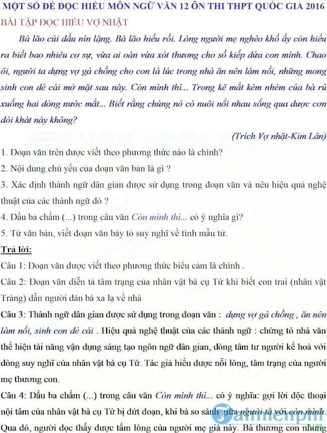 bai tap doc hieu ngu van lop 12