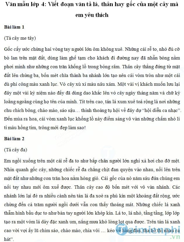 Viết đoạn văn tả lá, thân hay gốc của một cây mà em yêu thích