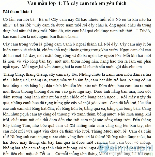 Tả cây cam mà em yêu thích