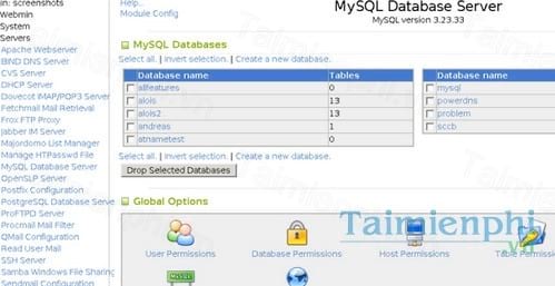 mysql database server