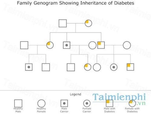 free genogram maker