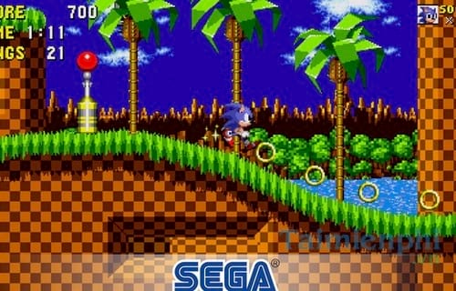 sonic the hedgehog