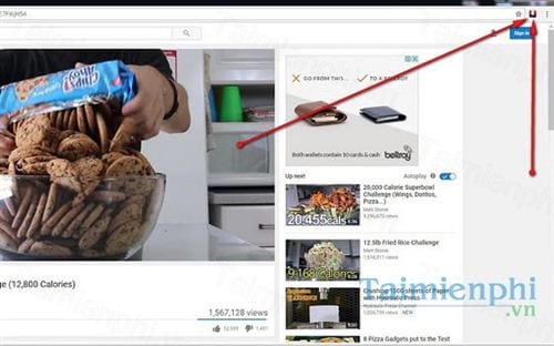 youtube downloader video
