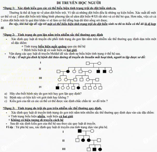 Phân dạng bài tập di truyền học người phần phả hệ