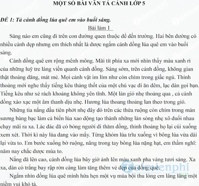 Văn tả cảnh lớp 5