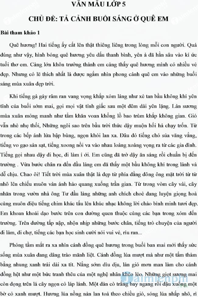 Tả cảnh buổi sáng trên quê hương em