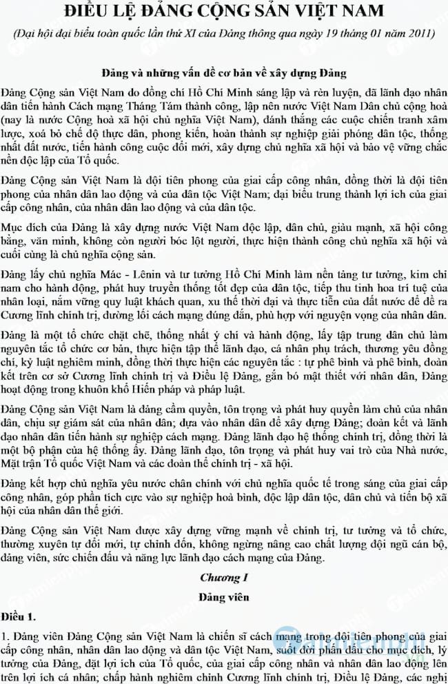 Điều lệ Đảng cộng sản Việt Nam