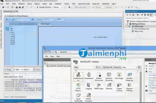 SAP Crystal Reports for Visual Studio