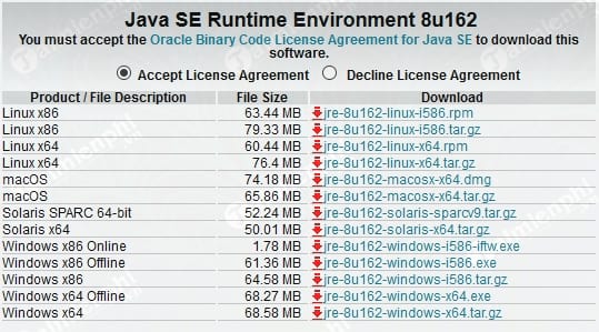 Java Runtime Environment