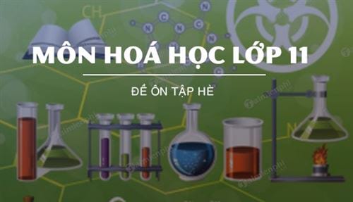 de on tap he mon hoa hoc lop 11