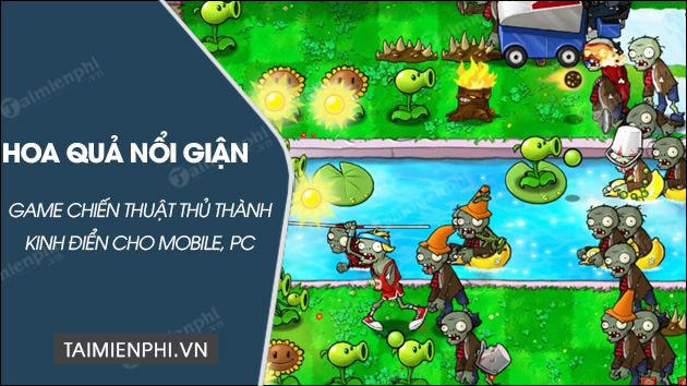 tai hoa qua noi gian