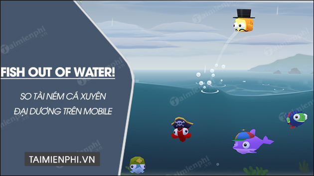 tai fish out of water