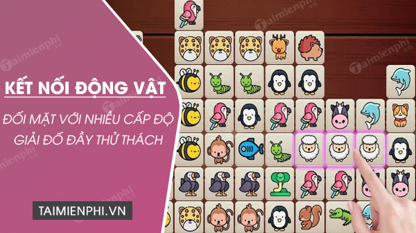 download ket noi dong vat
