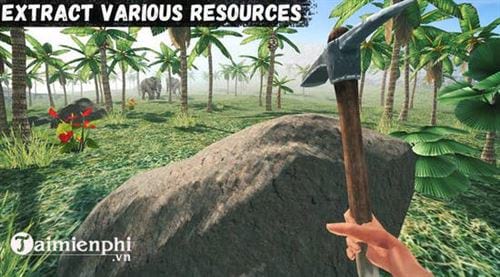 survivor adventure survival