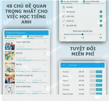 english for beginners