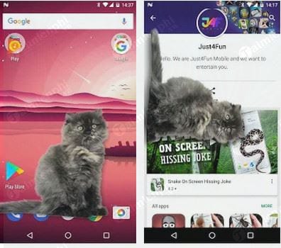 cat walks in phone cute joke