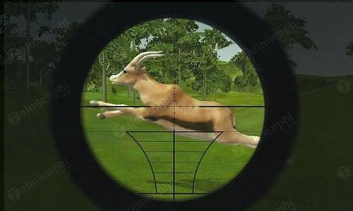 hunting jungle animals