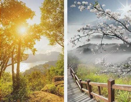 perfect sunrise live wallpaper