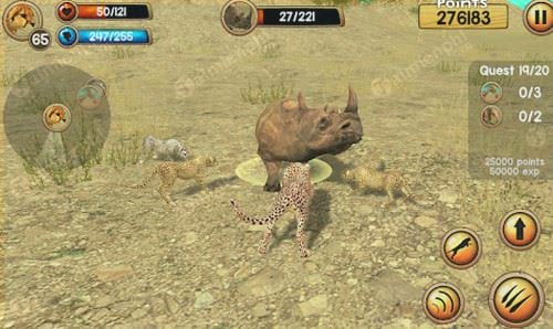 wild cheetah sim 3d