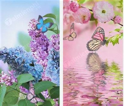 spring flowers live wallpaper