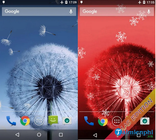 dandelion live wallpaper